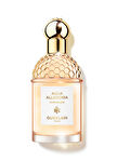 Guerlain Aqua Allegoria Pamplelune Edt 75 ml Kadın Parfüm