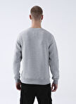 Routefield Gri Erkek Kapüşonlu Baskılı Sweatshirt RFHARV2223_HARV