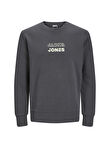 Jack & Jones Gri Erkek Sweatshırt 12225139_JCORIZ SWEAT CREW NECK