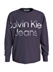 Calvin Klein Baskılı Mor Erkek Çocuk T-Shirt IB0IB01702VGS