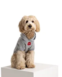 I Woof U Grey Pet Hoodie