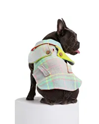 Tartan Grey Cat Coat 