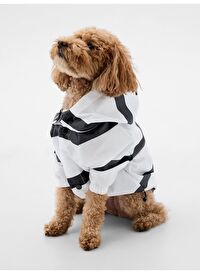 Desenli Köpek Yağmurluğu