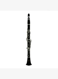 Roy Benson CG-220 Alman Sistem Bb Klarnet