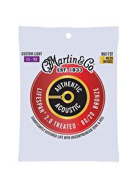 Martin Co MA175T SP Lifespan Treated Akustik Gitar Teli Custom Light 11-52
