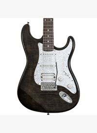 Washburn Sonamaster SDFTB Deluxe Elektro Gitar