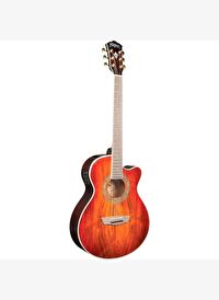 Washburn EA55G Festival Elektro Akustik Gitar