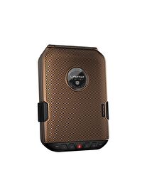 Vaultek Lifepod Seyahat Humidoru Antik Brass