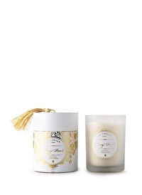 Juicy Peach Aromatik Mum