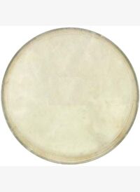 Cox Bongo Derisi (6\") DER-B-6