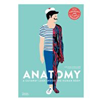 Anatomy