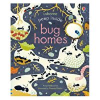 Peep Inside Bug Homes