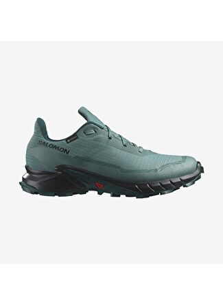 Мужские кроссовки Salomon Alphacross 5 Gtx для бега