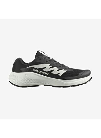 Мужские кроссовки Salomon Alphaglide для бега