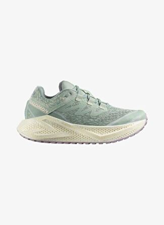 Женские кроссовки Salomon Aero Glide 3 Grvl W для бега