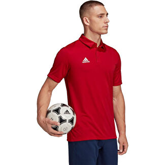 Ent22 POLO