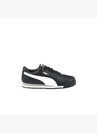 Roma 24 Standard