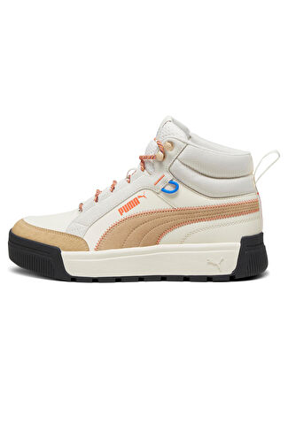 Мужские кроссовки Puma Tarrenz Sb III Open 39392902
