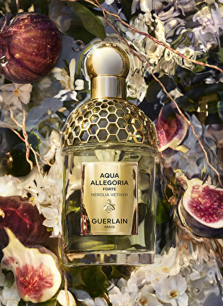 5003017850_X_13.jpg?v=18203266