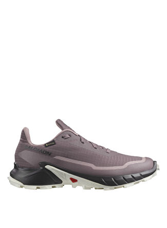 Женские кроссовки Salomon Salomon ALPHACROSS 5 GTX W для бега