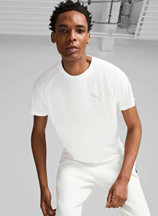 Мужская футболка Puma Normal Düz 68169702 EVOSTRIPE Tee