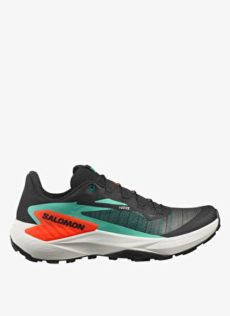 Мужские кроссовки SALOMON Genesis L47688200 для бега