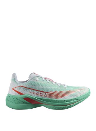 Мужские кроссовки Salomon L47566800SPECTUR 2 для бега