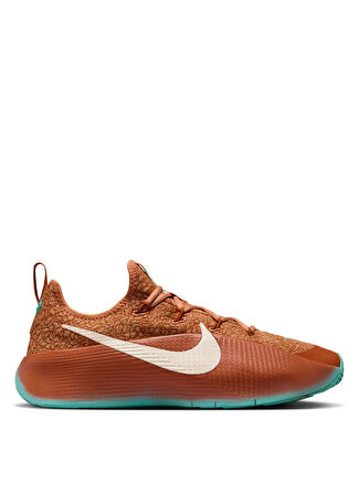 Мужские кроссовки Nike FJ6151-200 LEBRON TR 1 Basketbol для баскетбола