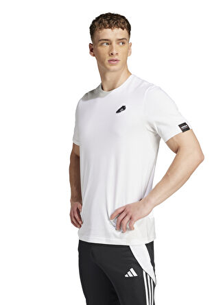 Мужская футболка Adidas Regular Fit JJ1420 COPA SIGN G T