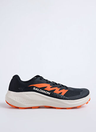 Мужские кроссовки Salomon L47801100ALPHAGLIDE для бега