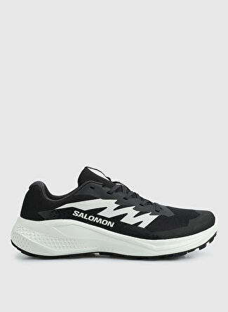 Мужские кроссовки SALOMON Alphaglide L47801000 для походов