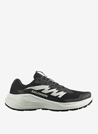 Женские кроссовки Salomon L47801500ALPHAGLIDE W для бега