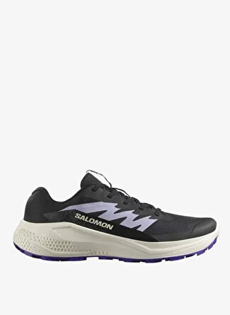 Женские кроссовки SALOMON Çok Renkli Alphaglide W L47801800 для походов