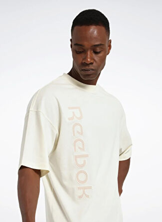 Мужская футболка Reebok Regular Fit LC 1012 GARMEN ACT TEE