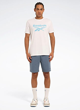 Мужская футболка Reebok LC 8013 NEW ID REG TEE Regular Fit Baskili