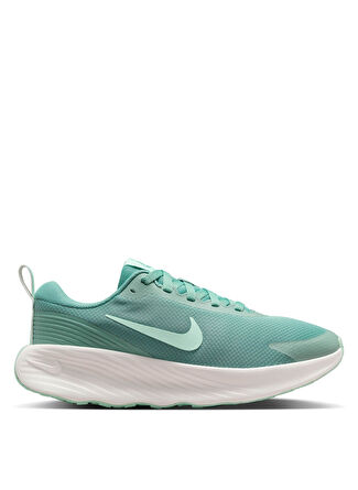 Женские кроссовки Nike FV6343-005 W NIKE PROMINA Lifestyle на каждый день