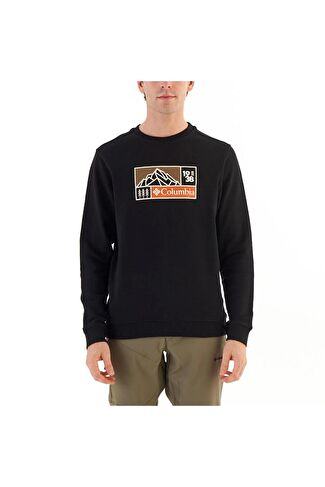 Свитшот CS0352 CSC M HIKE ICON CREW
