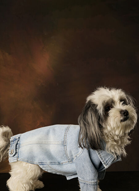 Göktürk Pati Evi Hera Denim Kedi & Köpek Ceket -1