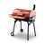 Rehome Guruss CG-075 Barbekü Mangal | Kömürlü | 75 Cm | Kırmızı | Tam Set