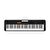 Casio Casiotone CT-S100C2 61 Tuşlu Org