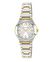 ANNE KLEIN 10-8655SVTT Kadın Kol Saati