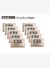 Boveda 72 60g Humidor Puro kutusu Nemlendirici 10lu Eco Paket