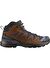 Salomon X ULTRA 360 LTR MID GTX Erkek Bot L47570700