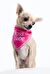 Boss Babe Dog Bandana