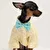 Tee Buddy Dog Shirt