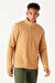 Erkek Karamel Anti-Pilling Tüylenme Yapmayan Standart Fit Dik Yaka Polar Sweatshirt