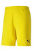 Puma Team Goal Erkek Antreman Şort 70426207