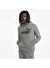 PUMA Essentials Big Logo Hoodie Erkek Sweatshirt
