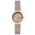 Skagen SKW3005 Kadın Kol Saati