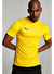 Puma Teamultımate Jersey Erkek Tişört 70537107
